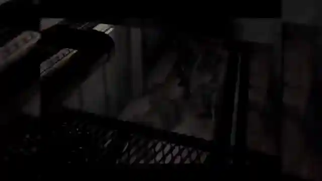 ultimate-guide-raccoon-city-survival-horror-secrets